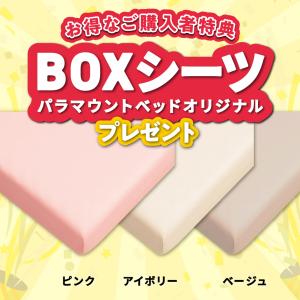 【特典付き】開梱設置付き パラマウントベッド ...の詳細画像1