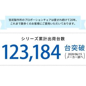 チェアカバー プロポーションチェア用替えカバー...の詳細画像1