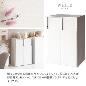 ゴミ箱 ごみ箱 45リットル 分別 DB-F2...の詳細画像1