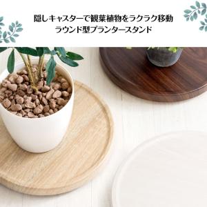プランタースタンド トレー MST-300 M...の詳細画像1