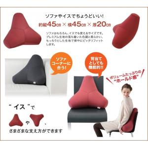 MOGU モグ プレミアムトライパッドクッショ...の詳細画像1