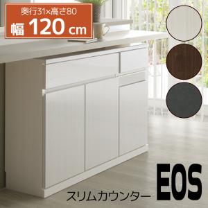 サイドボード カウンター 下収納 幅120cm キャビネット 薄型 奥浅 省 