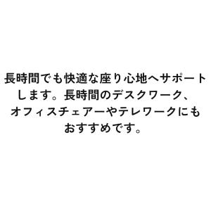 テンピュール 正規品 シートクッション 厚み5...の詳細画像2