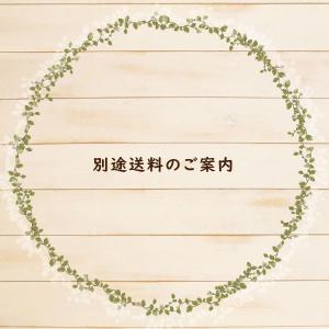 【専用送料】10269052様専用『別途送料』※ご注文期限：8/3まで