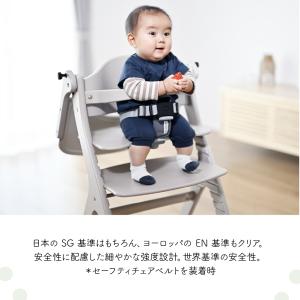 すくすくチェア GL ベビーチェア 大和屋 テ...の詳細画像4