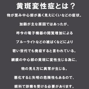 17時迄 当日発送 ◆ポスト投函便は送料無料◆...の詳細画像2