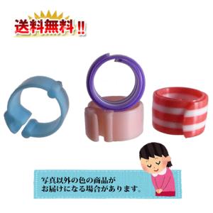 鳩の足輪　お試しセット　シマカン２個＋パッチン２個
