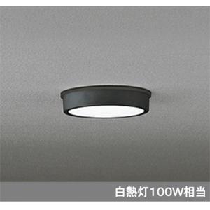 ODELIC（オーデリック） OG254518 白熱灯100W相当 電球色 LED