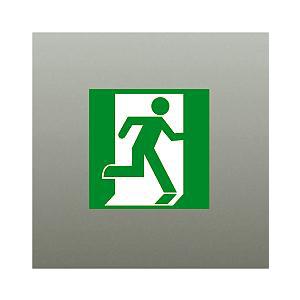 【DP-36854E】DAIKO 誘導灯パネル B級・BH形（20A形）/B級・BL形（20B形） ...