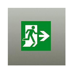 【DP-36856E】DAIKO 誘導灯パネル B級・BH形（20A形）/B級・BL形（20B形） ...