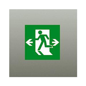 【DP-36857E】DAIKO 誘導灯パネル B級・BH形（20A形）/B級・BL形（20B形） ...