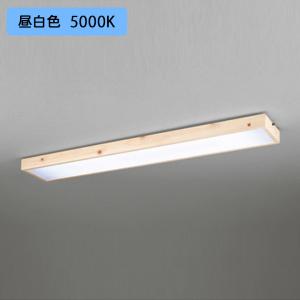 【OL291871R2B】オーデリック 和風照明 LED一体型 昼白色 調光器不可 ODELIC