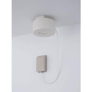 Panasonic（パナソニック） NNFB01000C 天井直付 LED 昼白色 非常用