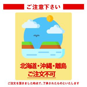 【法人名必須】【SAC-30S】ナカトミ スポ...の詳細画像1