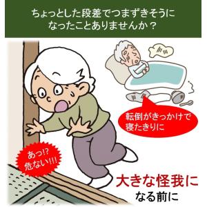段差解消スロープ 発泡EVA シンエイテクノ ...の詳細画像1