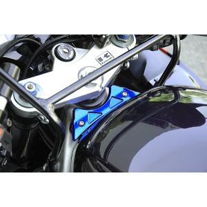 ZX-9R 98'〜03' タンクエンドプレート シルバー : Complsah