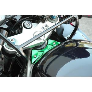 ZX-9R 98'〜03' タンクエンドプレート シルバー : Complsah