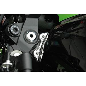 ZX-9R 98'〜03' タンクエンドプレート シルバー : Complsah Factory