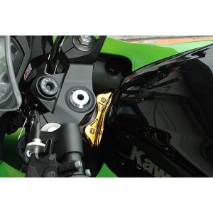 ZX-9R 98'〜03' タンクエンドプレート シルバー : Complsah Factory