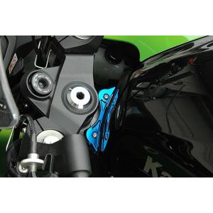 ZX-9R 98'〜03' タンクエンドプレート シルバー : Complsah Factory