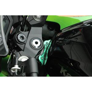 ZX-9R 98'〜03' タンクエンドプレート シルバー : Complsah Factory