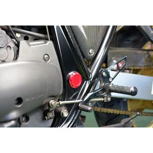CB1000SF SC30 フレームホールプラグ シルバー : Complsah Factory