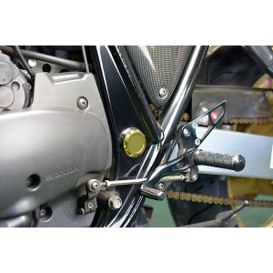 CB1000SF SC30 フレームホールプラグ ゴールド : Complsah Factory
