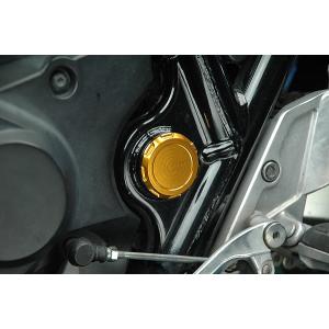 RZ250R シフトシャフトガイドプレート ゴールド : Complsah
