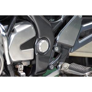 バリオス/バリオスII　フレームホールプラグ　シルバー