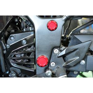 ゼファー1100 ブリーザーカバー シルバー : Complsah Factory - 通販