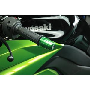 ZX-12R 00'〜06' バーエンド シルバー : Complsah Factory - 通販