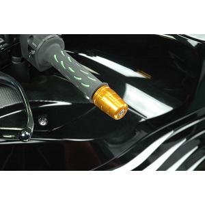 ZX-12R 00'〜06' バーエンド シルバー : Complsah Factory - 通販