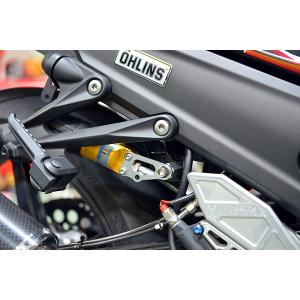 RZ250R シフトシャフトガイドプレート シルバー : Complsah Factory