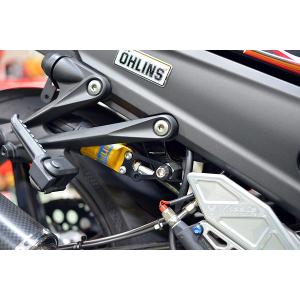 YAMAHA RZ250R シフトシャフトガイドプレート などセット RZ250R シフトシャフトガイドプレート ブラック : Complsah