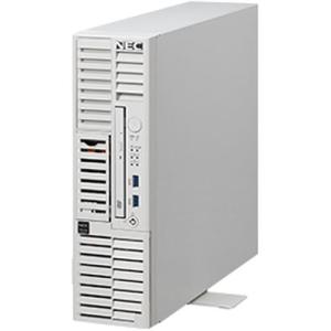NEC iStorage NS100Tk（Pentium Gold G6405/8GB/HDD 4TB/Windows Server IoT 2 目安在庫=