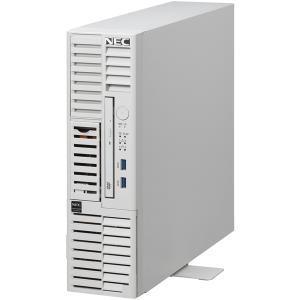 ＮＥＣ Express5800/D/T110m-S Xeon E-2414 4C/16GB/SATA 4TB*2 RAID1/W2022/タワ 目安在庫=△｜compmoto-y