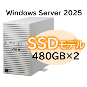 ＮＥＣ Express5800/D/T110m Xeon 6315P 4C/16GB/SSD 480...