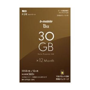 日本通信 b-mobile Biz SIMパッケージ(DC/マルチ) 目安在庫=△｜compmoto-y