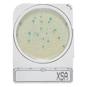 日水製薬 コンパクトドライ  06729X-SA (1箱(4枚 目安在庫=○