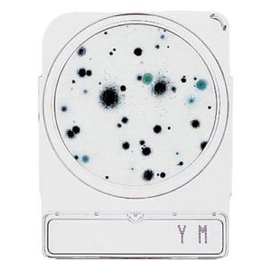 日水製薬 コンパクトドライ  06746YM (1箱(4枚×10袋 目安在庫=○