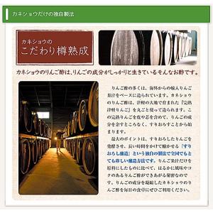 カネショウ 青森の味!フルーツビネガー ハチミ...の詳細画像1