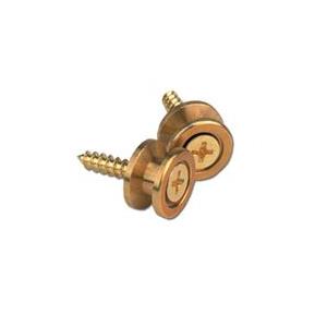 Planet Waves エンドピン PWEP302 Brass Endpins 仕入先在庫品｜compmoto