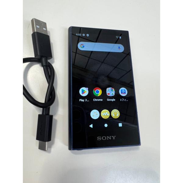 【動作品】SONY ウォークマン NW-A306/32GB