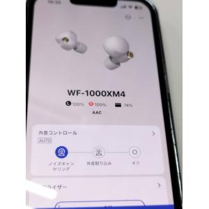 SONY WF-1000XM4/ワイヤレスイヤ...の詳細画像4