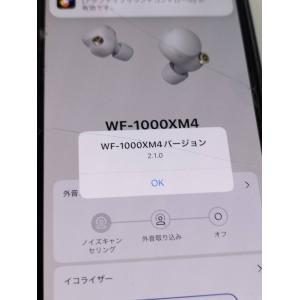 SONY WF-1000XM4/YY2948/...の詳細画像3