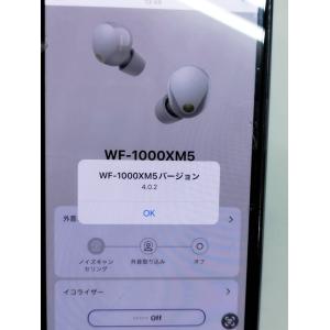 【未使用に近い】SONY WF-1000XM5...の詳細画像4