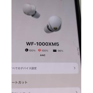 【美品】SONY WF-1000XM5/YY2...の詳細画像4