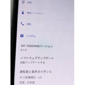 【美品】SONY WF-1000XM5/YY2...の詳細画像5