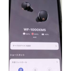 【良品】SONY WF-1000XM5/YY2...の詳細画像4