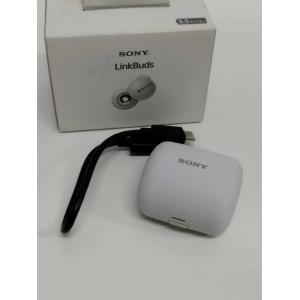 SONY WF-L900/YY2953/充電ケー...の商品画像
